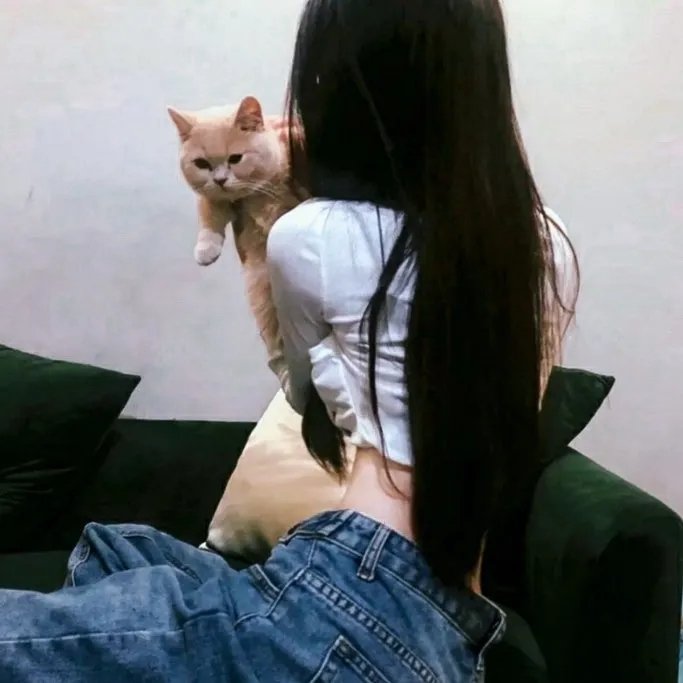 血溅派对