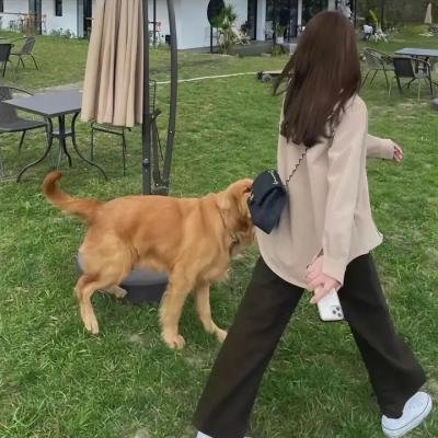 街头音乐